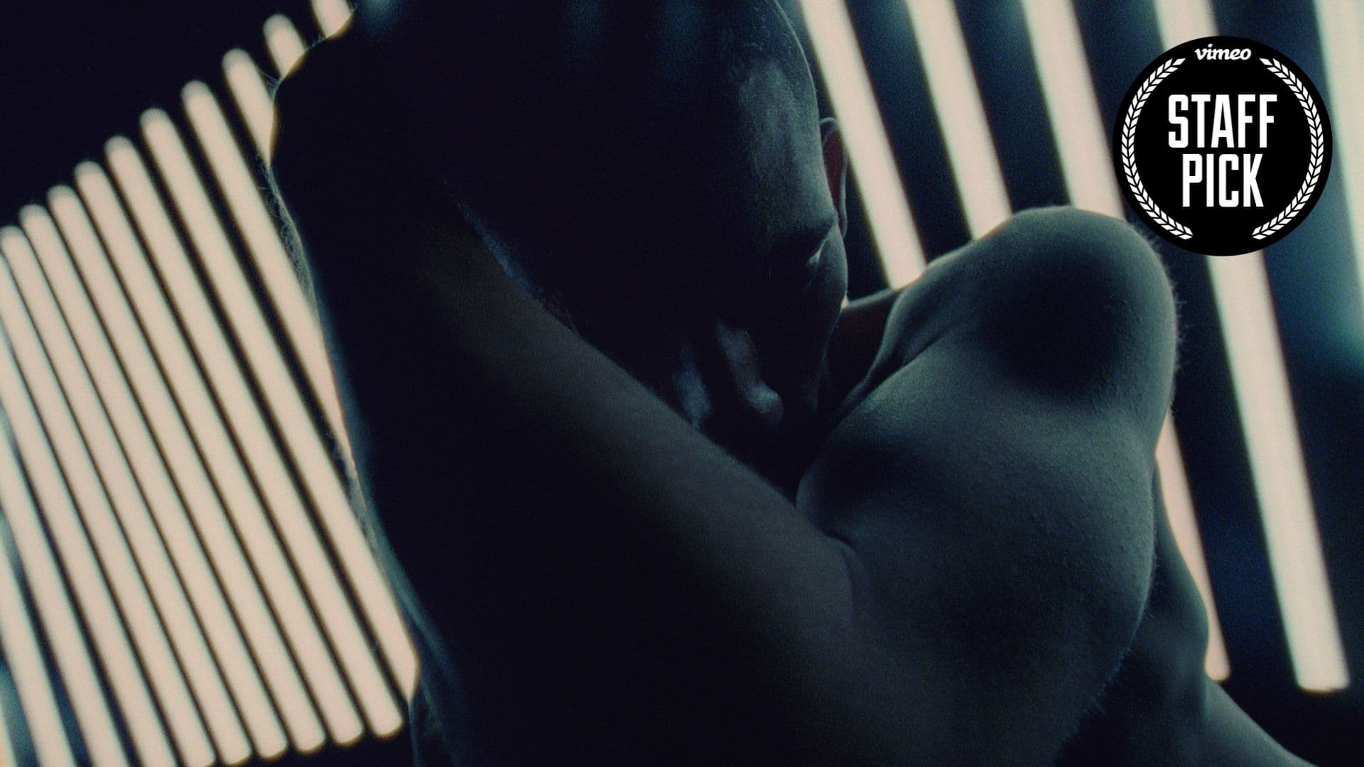 Pattern film vimeo staff pick